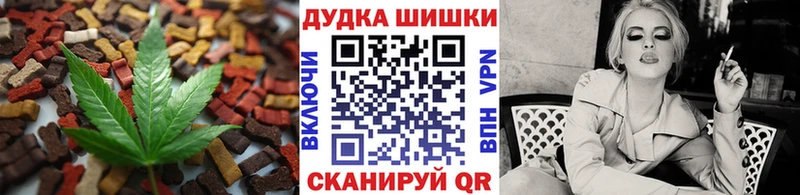 Купить закладки  Подпорожье  Canna-Cookies конопля 