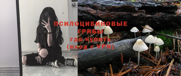 apvp Балахна